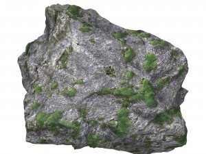 Ground Rock 04 3D 모델