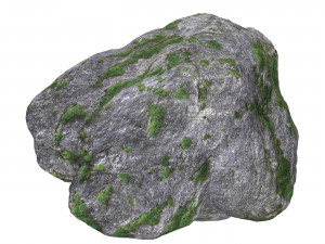 Ground Rock 05 3D Model