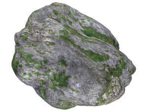 Ground Rock 05 3D मॉडल