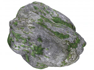 Ground Rock 05 3D Model
