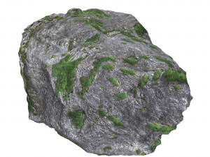 Ground Rock 07 3D Model