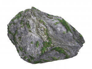 Ground Rock 07 Model 3D