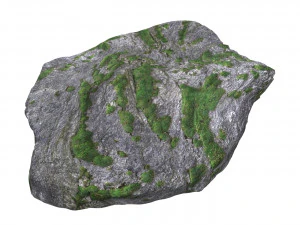 Ground Rock 08 3D Model