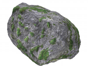 Ground Rock 09 3D Model