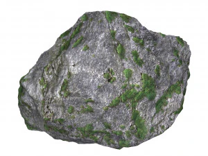 Земляний камінь 09 3D Модель