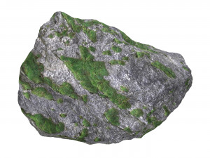 Ground Rock 10 3D Model