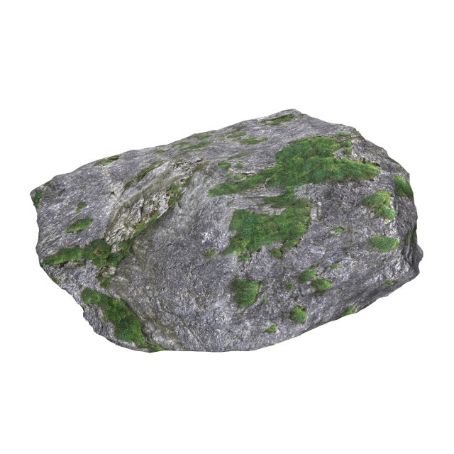 Ground Rock 11 3Dモデル .c4d .max .obj .3ds .fbx .stl .blend 