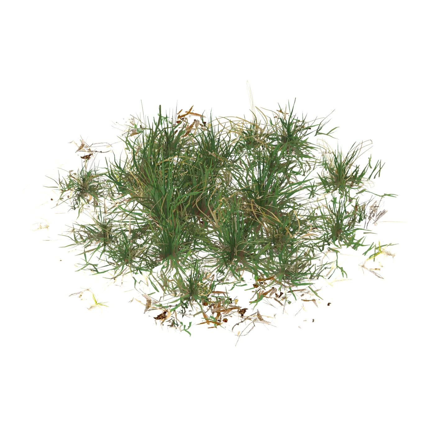 Realistic Game Ready Grass 01 3D Model .c4d .max .obj .3ds .fbx .stl .blend 