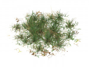 Realistic Game Ready Grass 01 Modelo 3D