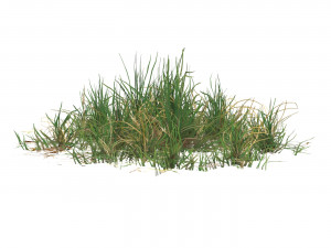 Realistic Game Ready Grass 01 3D Модель