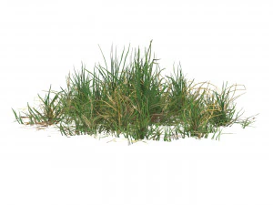 Realistic Game Ready Grass 01 3D Model