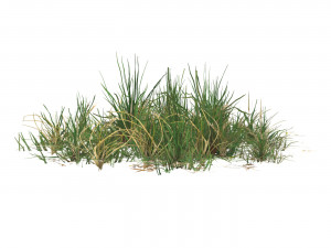 Realistic Game Ready Grass 01 3D Модель