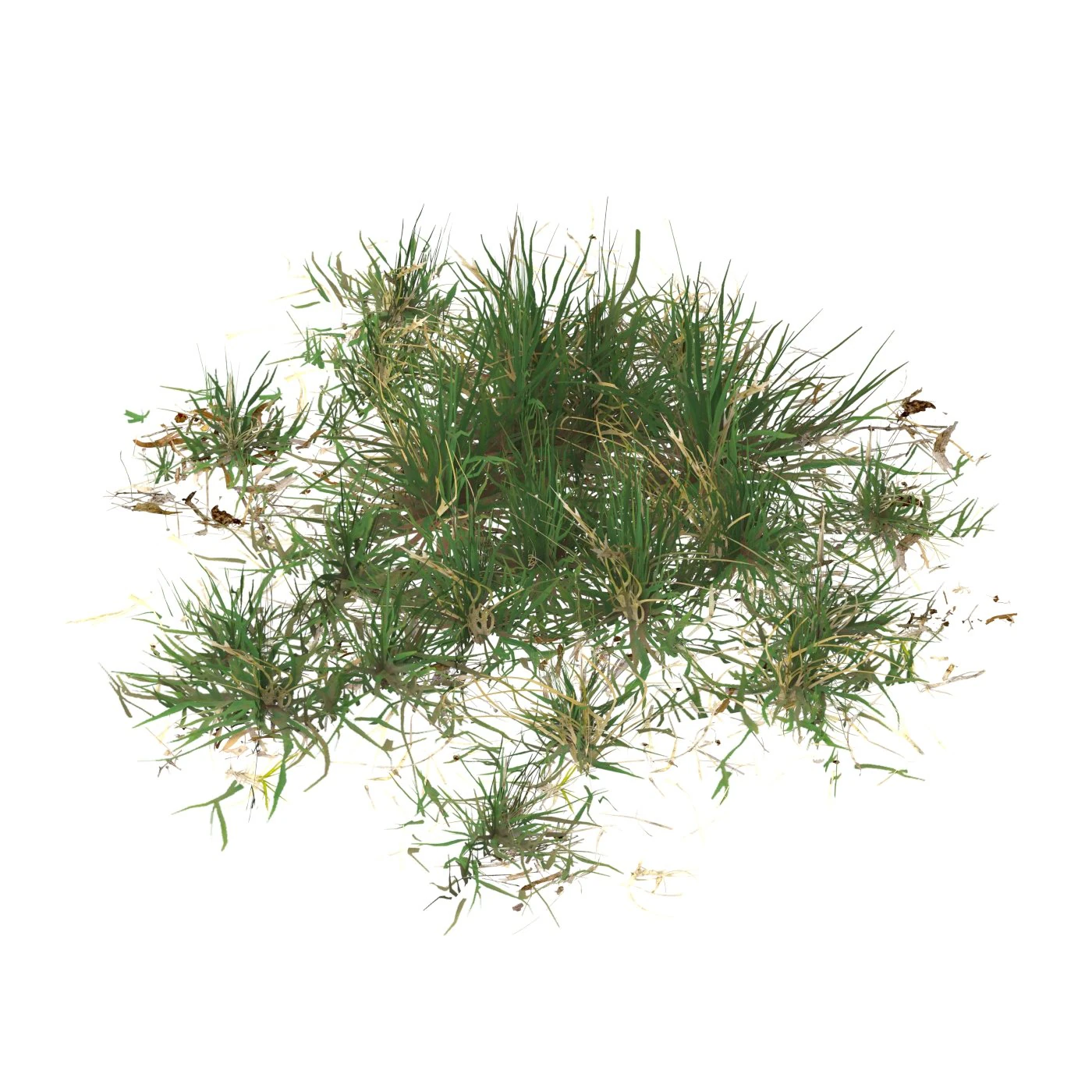 Realistic Game Ready Grass 02 3D Model .c4d .max .obj .3ds .fbx .stl .blend