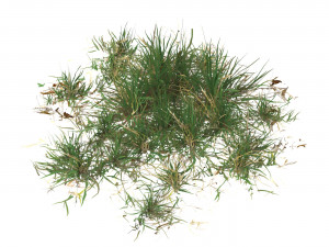 Realistic Game Ready Grass 02 3D Model