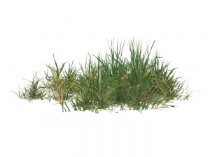 Realistic Game Ready Grass 02 3D Model