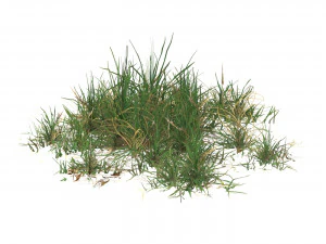 Realistic Game Ready Grass 02 3D Model