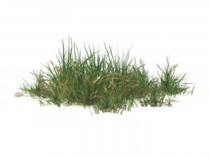 Realistic Game Ready Grass 02 Modèle 3D