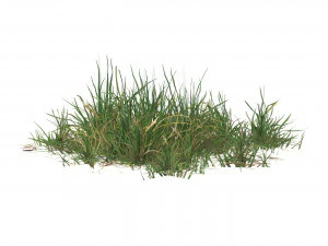 Realistic Game Ready Grass 02 3D Model