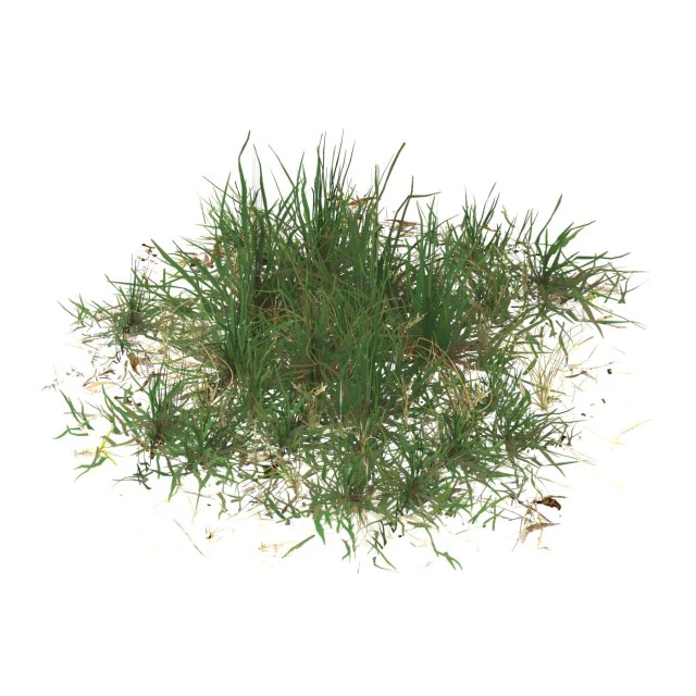 Grama pronta para jogo realista 03 Modelo 3D .c4d .max .obj .3ds .fbx .stl .blend 