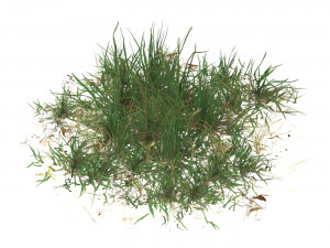 Realistic Game Ready Grass 03 3D-Modell
