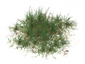 Grama pronta para jogo realista 03 Modelo 3D