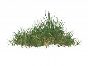 Realistic Game Ready Grass 03 3D Model