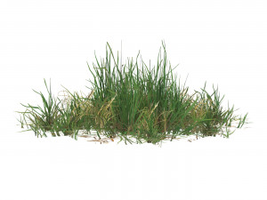 Realistic Game Ready Grass 03 3D Model