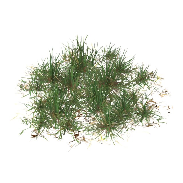 Realistic Game Ready Grass 04 3D-Modell .c4d .max .obj .3ds .fbx .stl .blend 