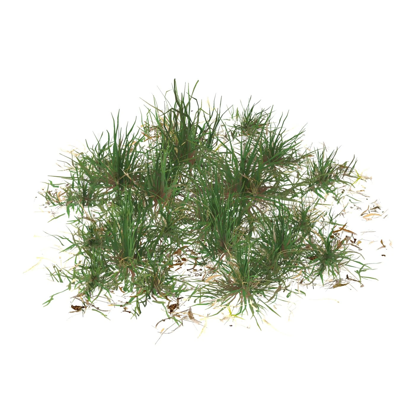 Realistic Game Ready Grass 04 3D Model .c4d .max .obj .3ds .fbx .stl .blend 