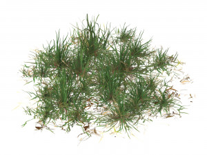 Realistic Game Ready Grass 04 3D Model