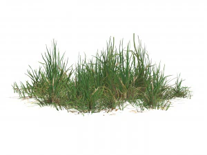 Realistic Game Ready Grass 04 3D Model