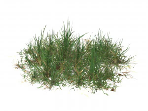 Realistic Game Ready Grass 04 3D Model