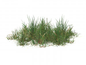 Realistic Game Ready Grass 04 3D Model