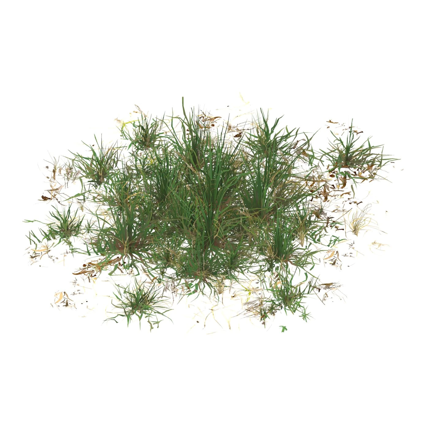 Juego realista Ready Grass 05 Modelo 3D .c4d .max .obj .3ds .fbx .stl .blend 