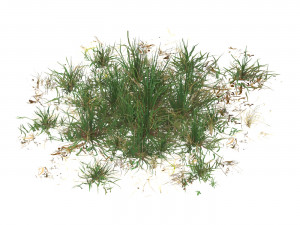 Realistic Game Ready Grass 05 Model 3D