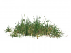 Juego realista Ready Grass 05 Modelo 3D