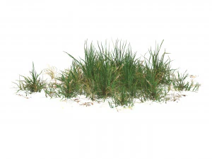 Juego realista Ready Grass 05 Modelo 3D