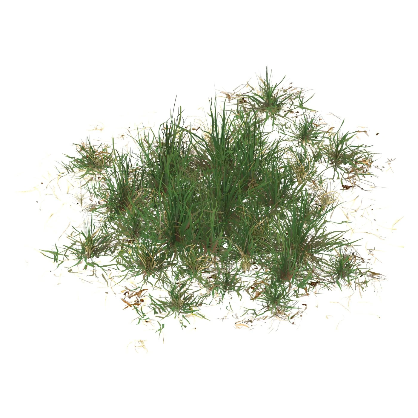 Realistic Game Ready Grass 06 3D Model .c4d .max .obj .3ds .fbx .stl .blend