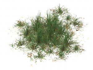 Realistic Game Ready Grass 06 Model 3D