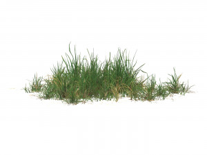 Realistic Game Ready Grass 06 3D Model