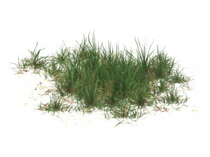 Realistic Game Ready Grass 06 3D Model