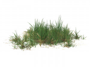 Realistic Game Ready Grass 06 3D Model