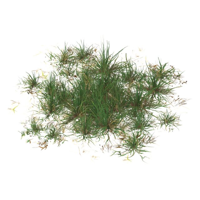 Realistic Game Ready Grass 07 3D Модель .c4d .max .obj .3ds .fbx .stl .blend 