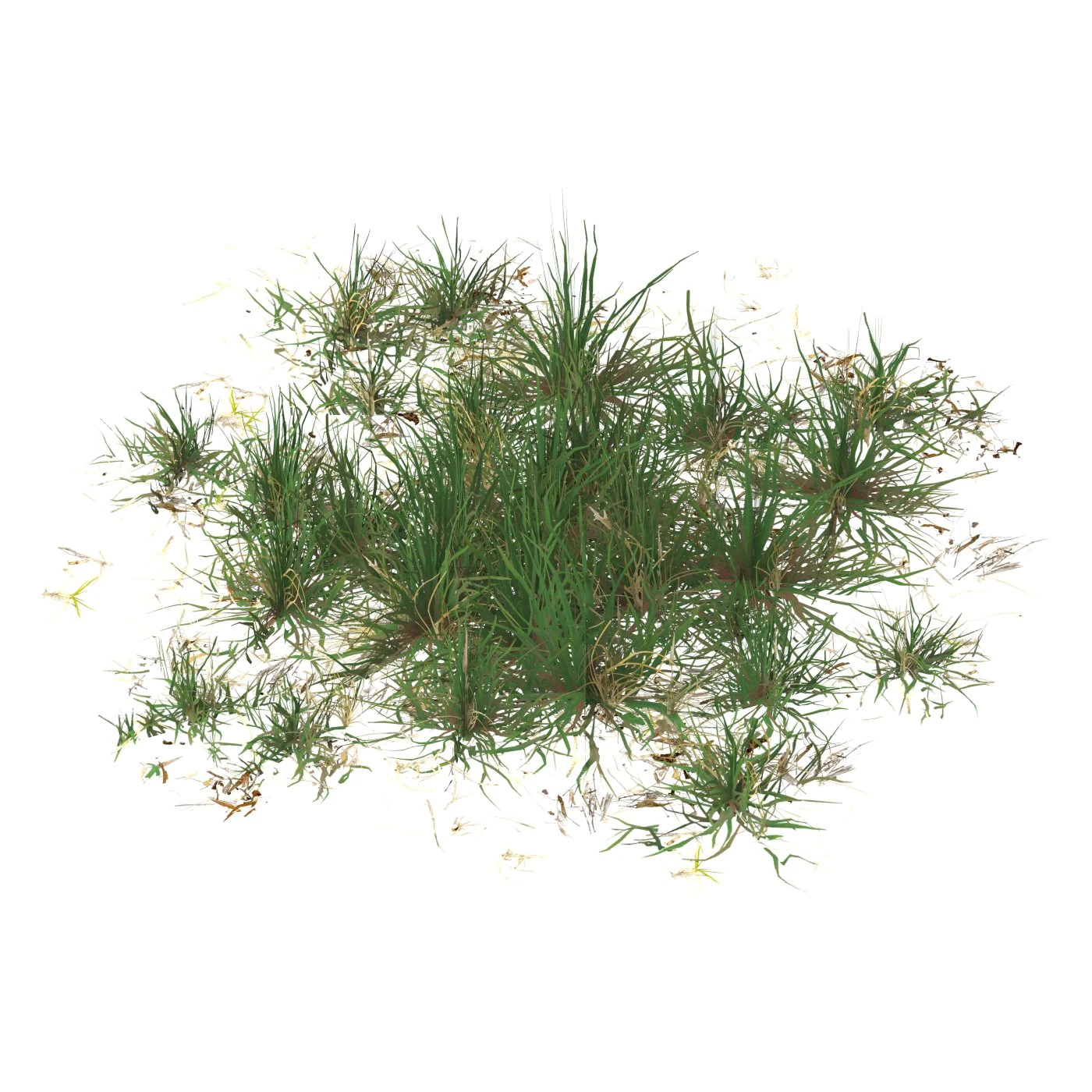 Realistic Game Ready Grass 07 3D Model .c4d .max .obj .3ds .fbx .stl .blend 