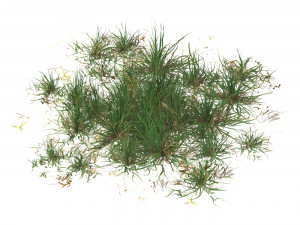 Realistic Game Ready Grass 07 3D Model