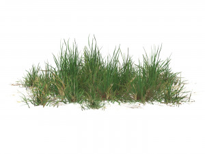 Realistic Game Ready Grass 07 3D Модель