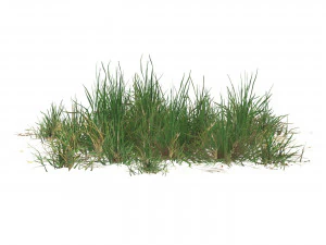 Realistic Game Ready Grass 07 3D Model