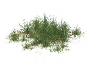 Realistic Game Ready Grass 07 3D Model