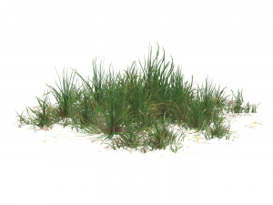 Realistic Game Ready Grass 07 3D Модель