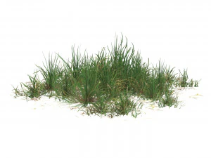 Realistic Game Ready Grass 07 3D Model